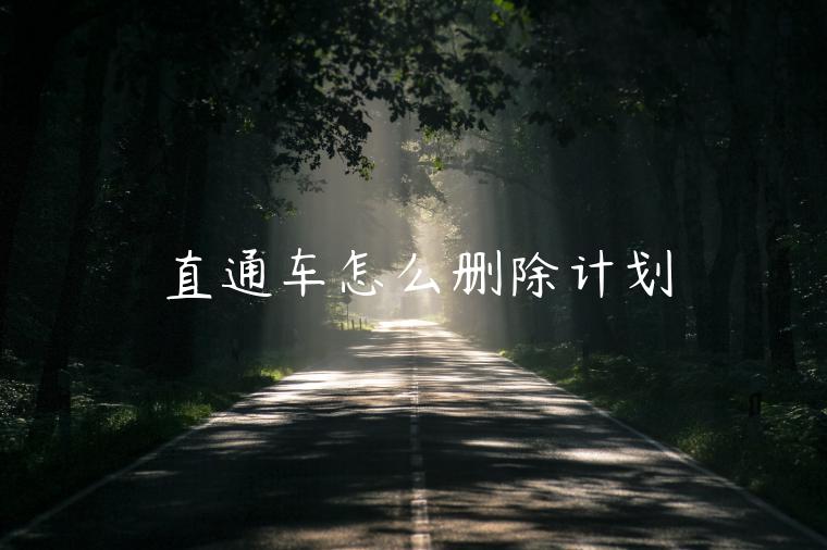 直通車(chē)怎么刪除計(jì)劃